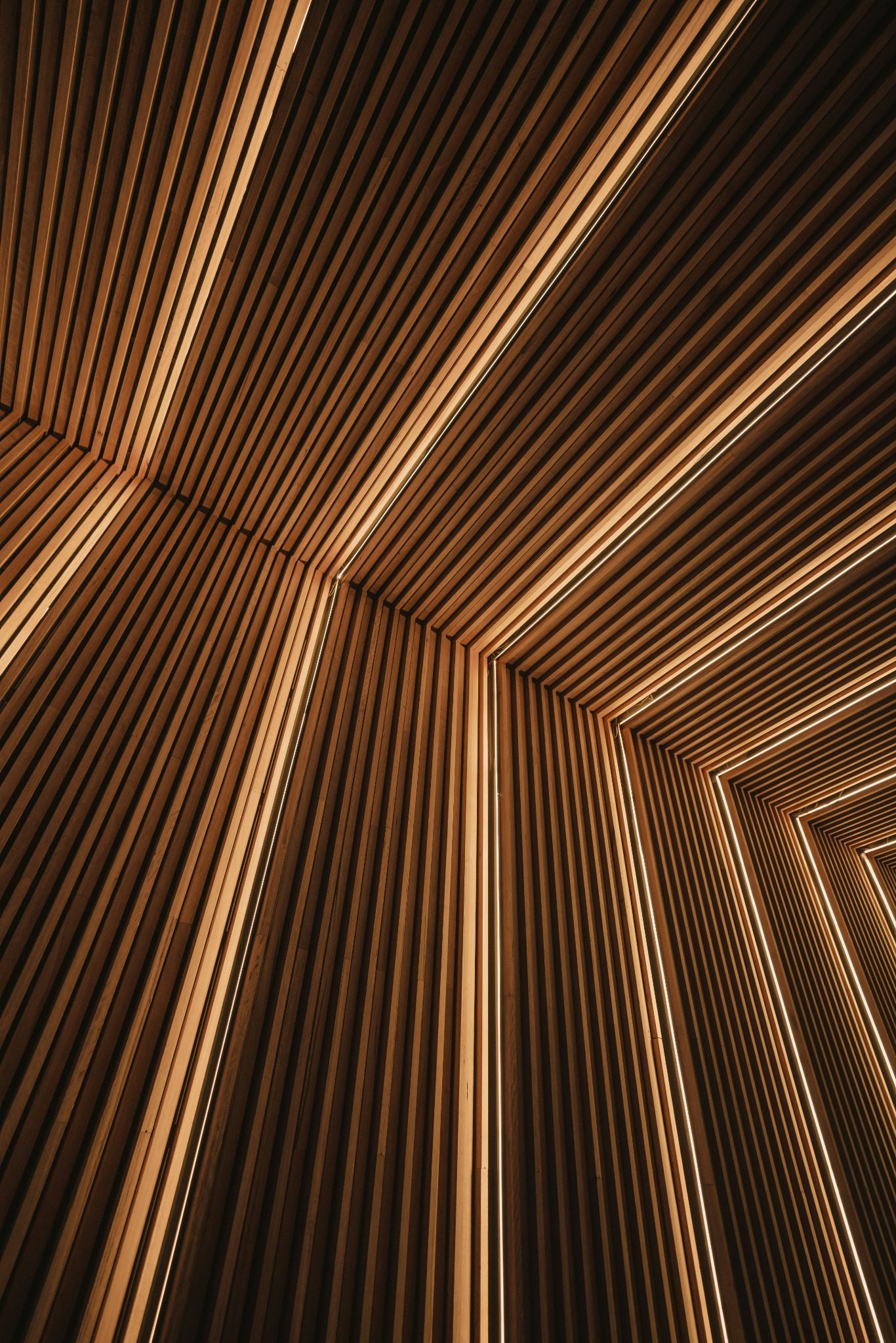 Warm architectural timber lining with lighting
